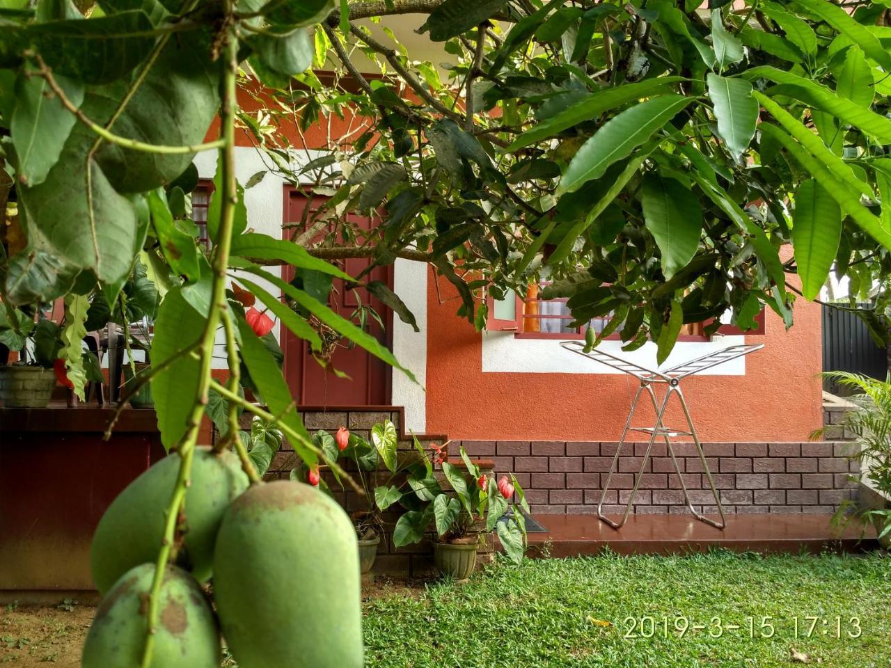 Nilas Guesthouse ฮิกคาดูวา ภายนอก รูปภาพ
